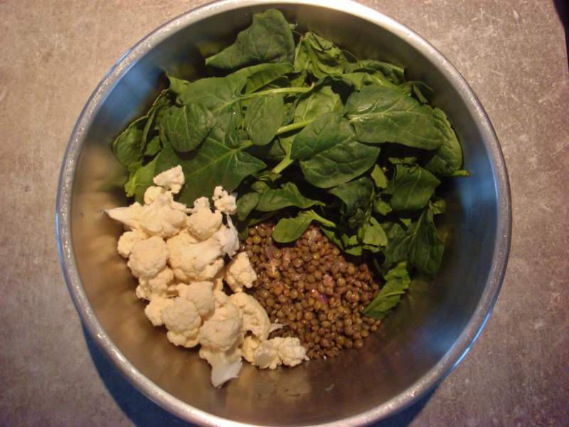 ingredients for lentils salad a anti SPM recipe  for girls who train BJJ