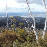 Mont Wellington Hobart Tasmania