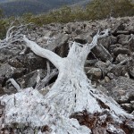 Mont Wellington Hobart Tasmania