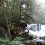 Mont Field National Parl Waterfall