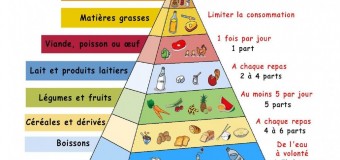 La nutrition pour améliorer naturellement votre BJJ #1