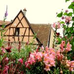 Eguisheim-route-vins